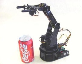 Humanoid Robots 